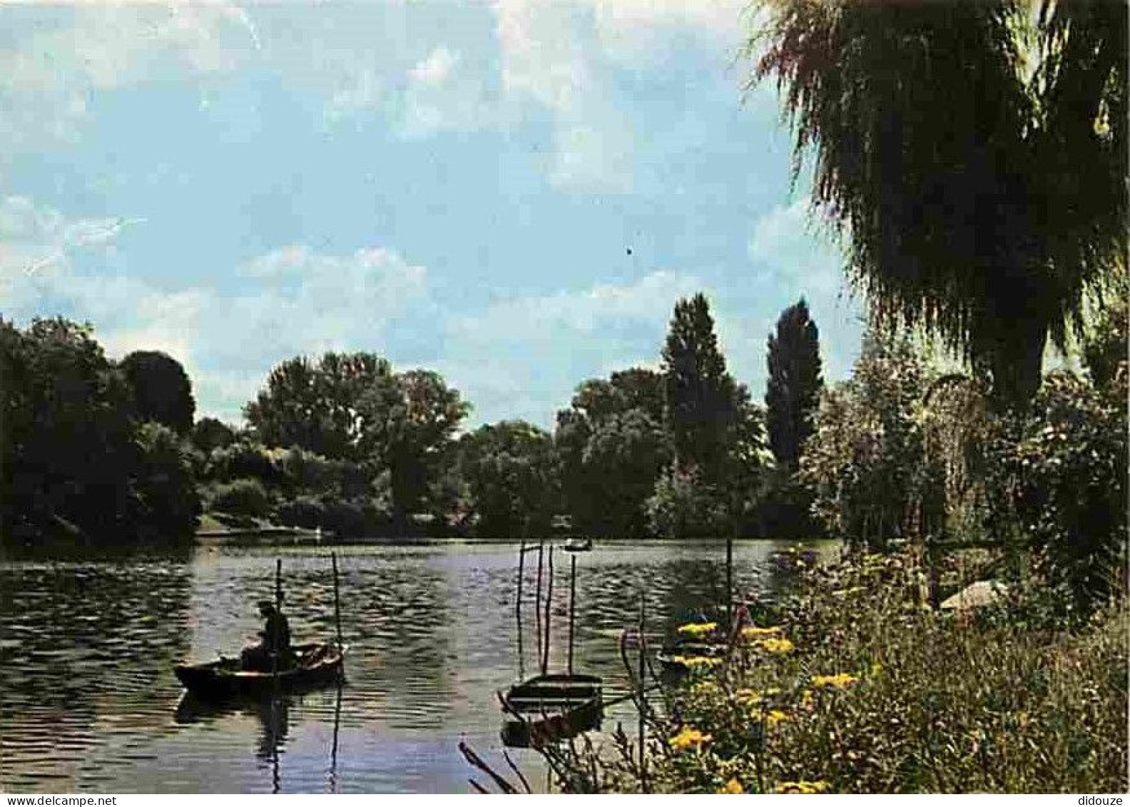 94 - Champigny Sur Marne - Pêche à La Ligne Sur Les Bords De Marne - CPM - Voir Scans Recto-Verso - Champigny Sur Marne