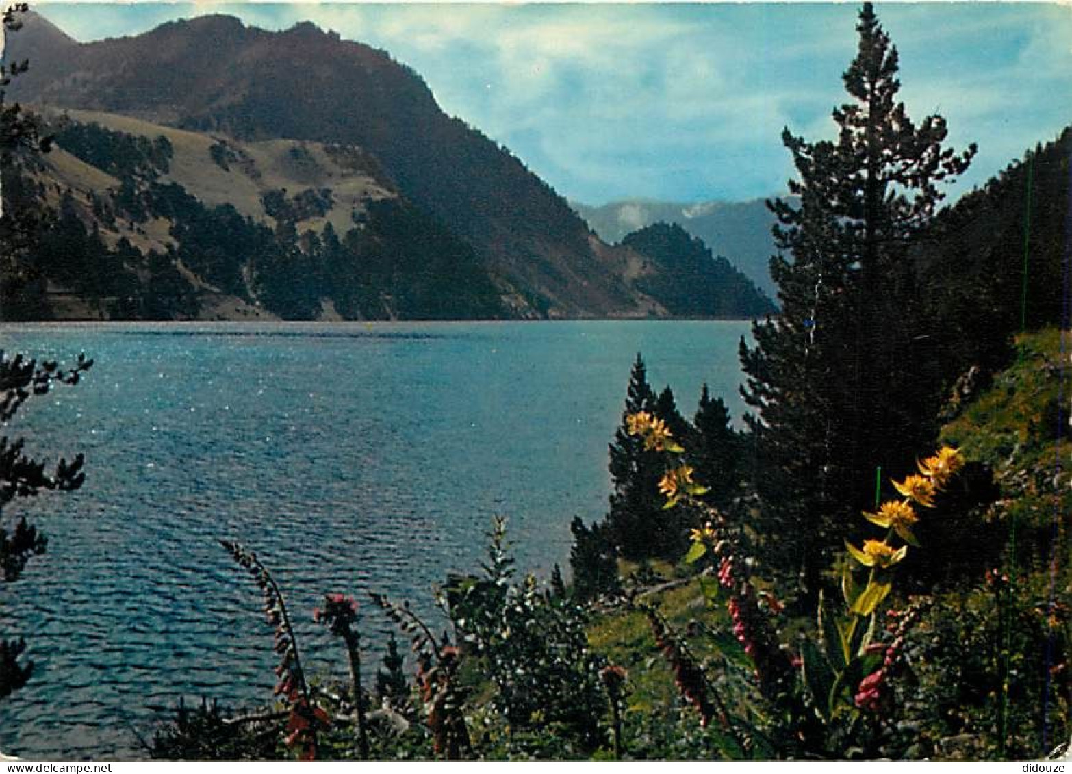 65 - Hautes Pyrénées - Vallée D'Aure - Le Lac De L'Oule - Grandes Digitales Et Gentianes Jaunes - Fleurs - CPM - Voir Sc - Sonstige & Ohne Zuordnung