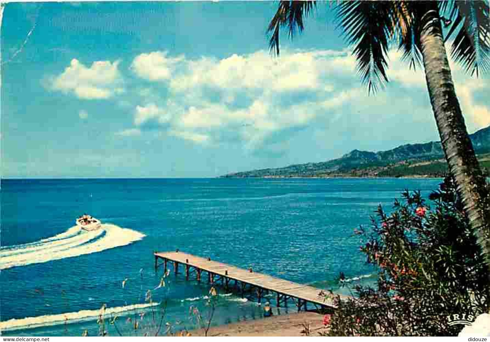 Antilles - La Mer Des Caraibes - CPM - Voir Scans Recto-Verso - Other & Unclassified