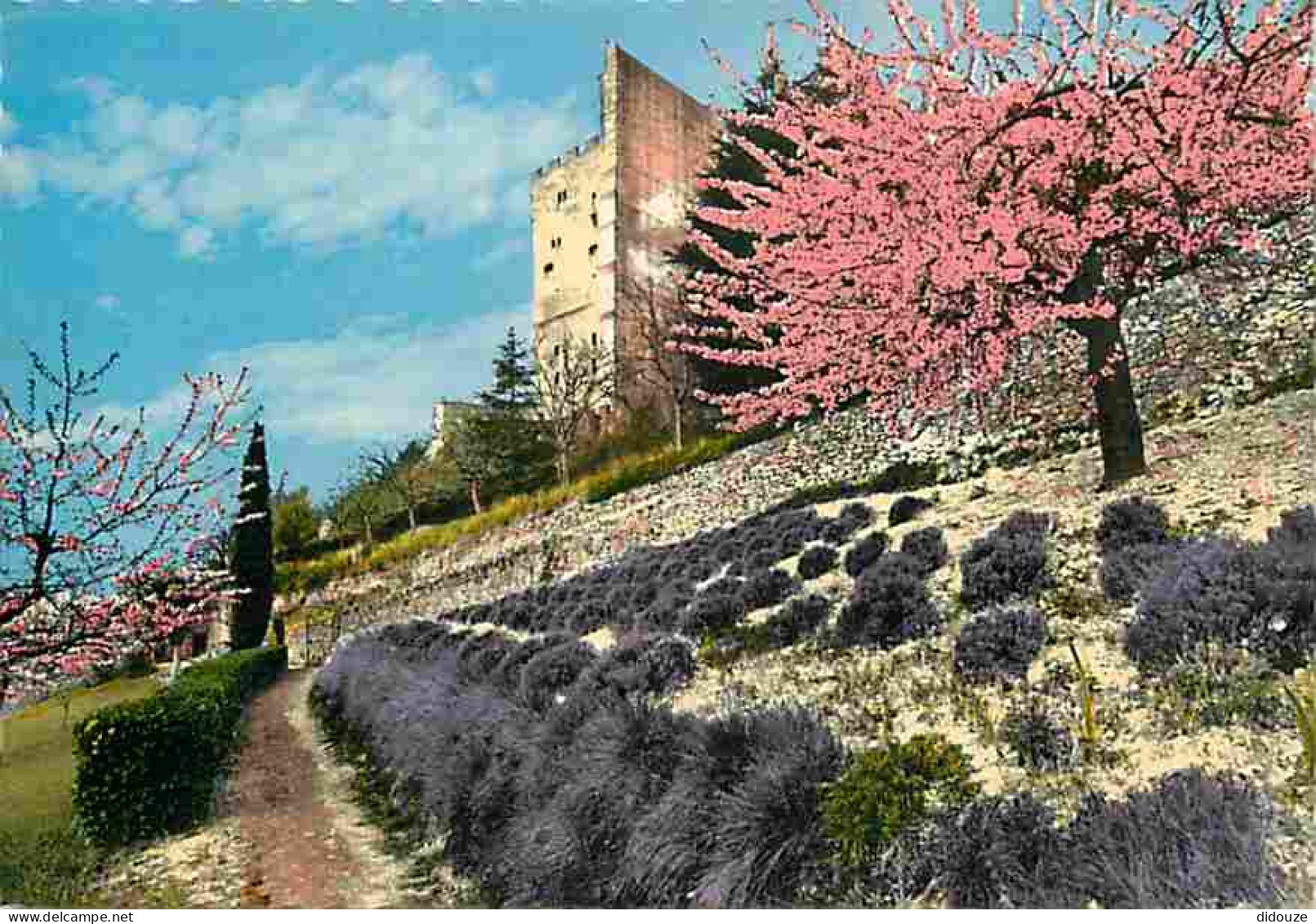 26 - Crest - Le Château Et Les Champs De Lavande - Fleurs - Carte Neuve - CPM - Voir Scans Recto-Verso - Crest