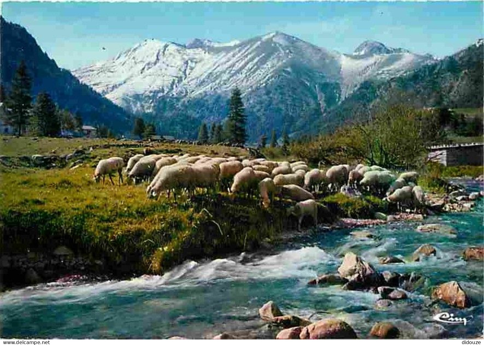 06 - Alpes Maritimes - Vallée Des Merveilles - Située à L'ouest De St Dalmas De Tende - Moutons - CPM - Voir Scans Recto - Sonstige & Ohne Zuordnung