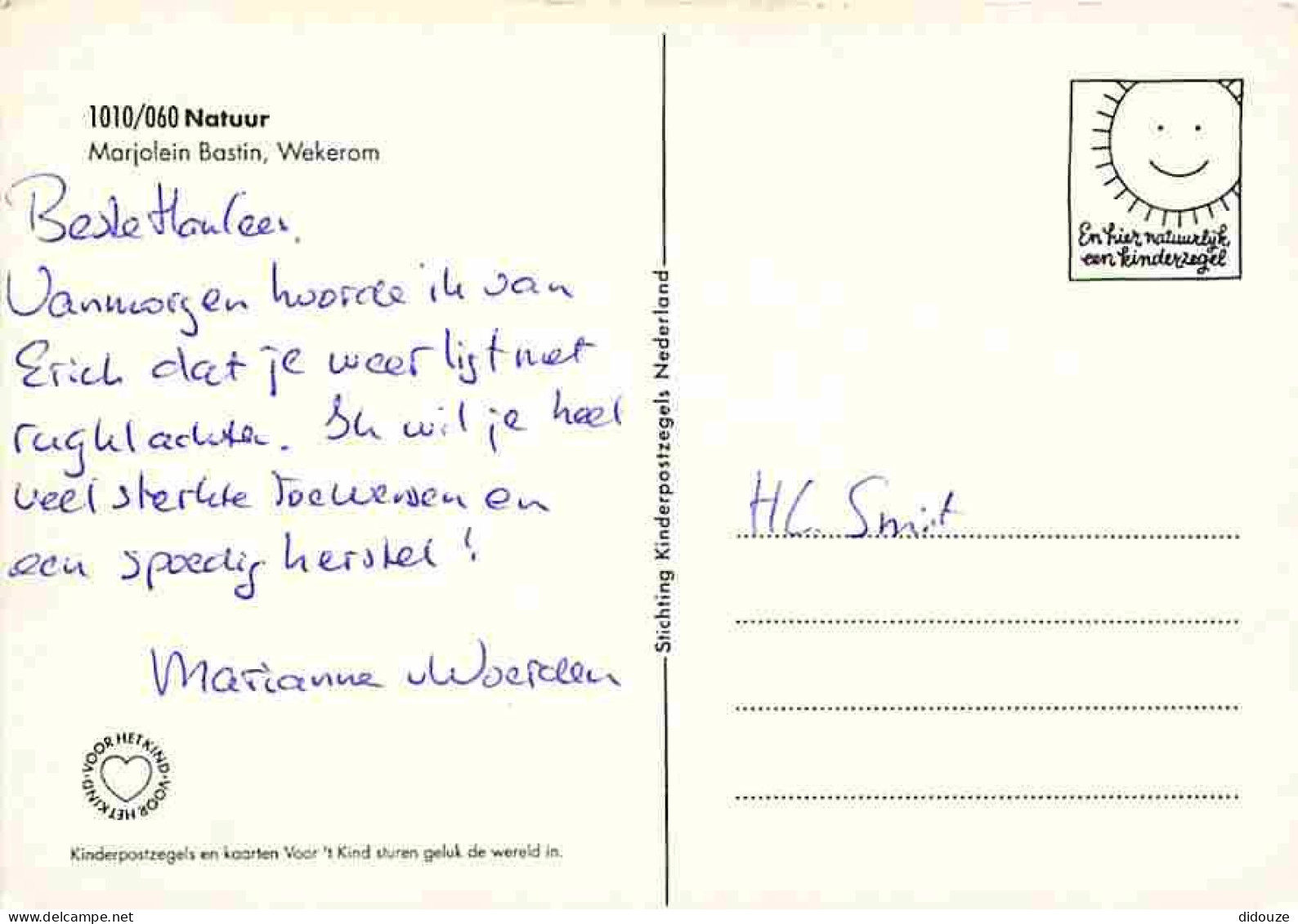 Animaux - Papillons - 22 Espèces Différentes - CPM - Voir Scans Recto-Verso - Papillons