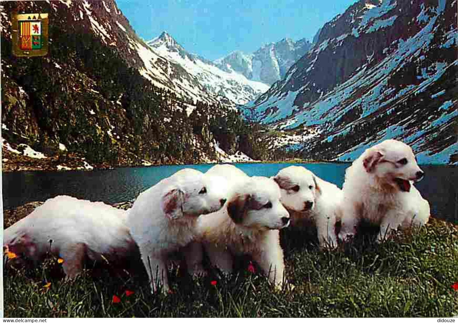 Animaux - Chiens - Chien Des Pyrénées - Chiots - Blasons - CPM - Voir Scans Recto-Verso - Chiens