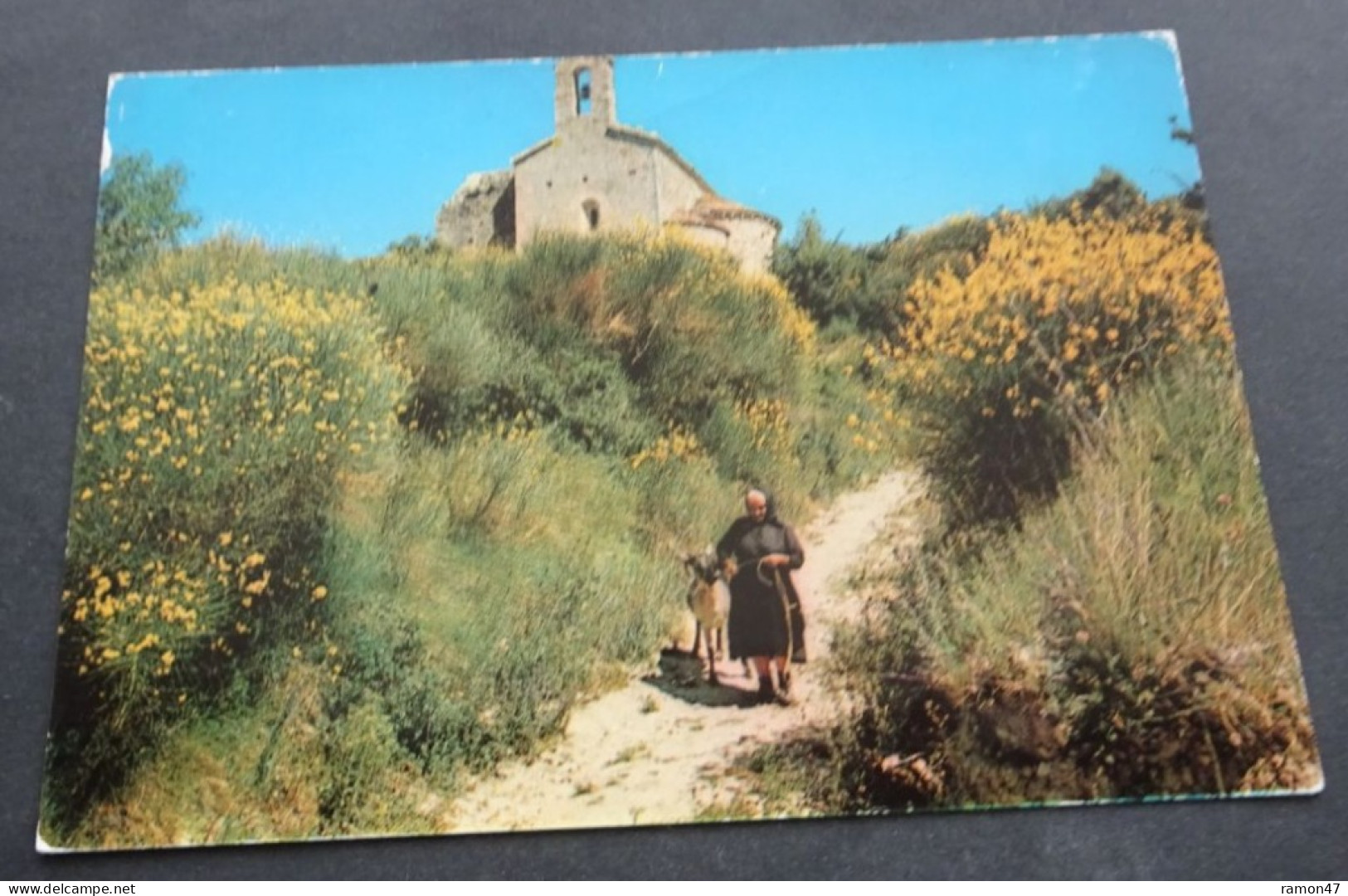 Les Belles Couleurs De Nos Provinces - Chapelle Et Bergère Dans Les Genêts En Fleurs - Editions "SL", Villeurbanne - Autres & Non Classés