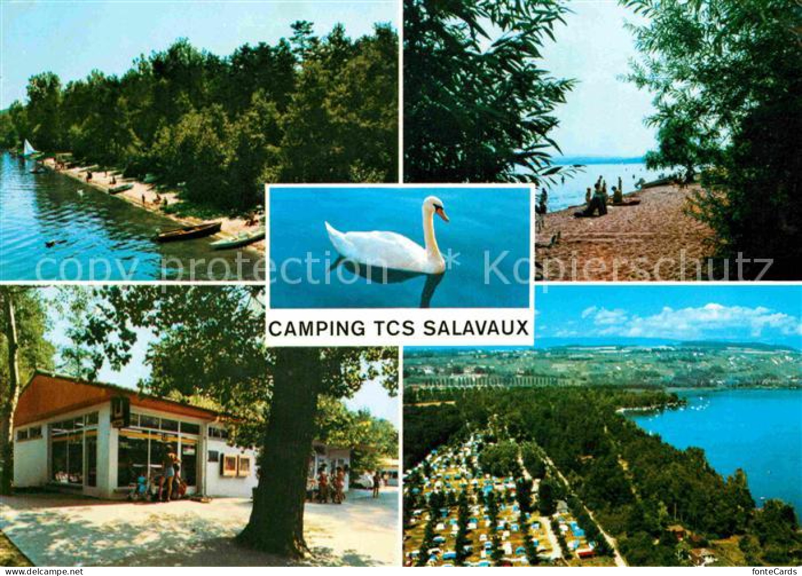 12678049 Salavaux Camping TCS Lac De Morat Strand Panorama Salavaux - Autres & Non Classés