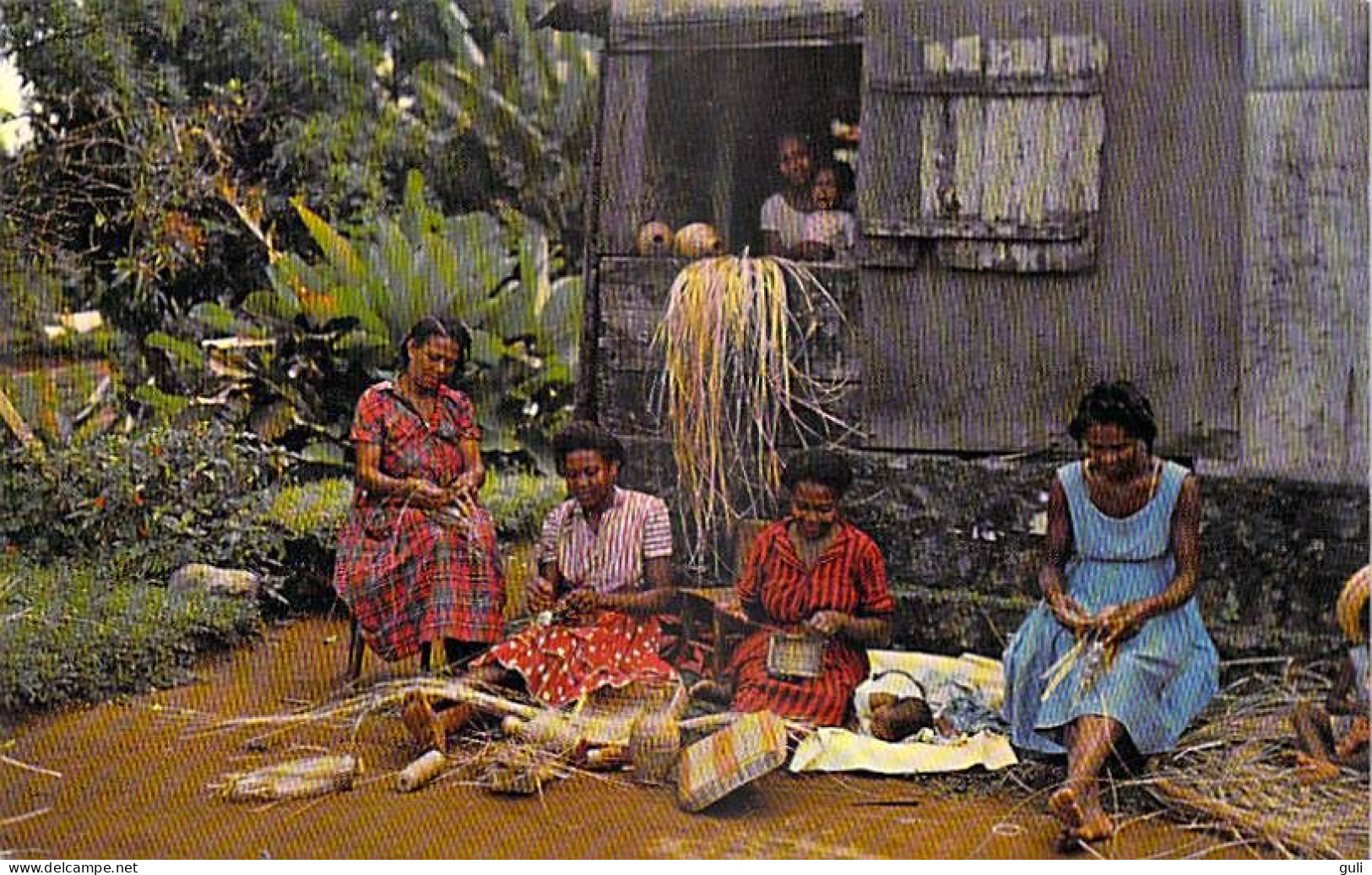 972 Martinique  > MORNE-DES-ESSES  (Sainte-Marie)Travail De La Vanerie CaraÏbe  Photo Felix Rose-Rosette 95 *PRIX FIXE - Autres & Non Classés