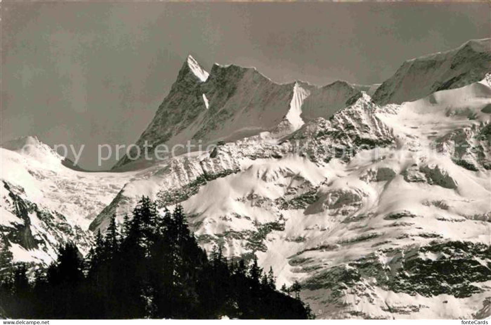 12666187 Grindelwald Finsteraarhorn Gebirgspanorama Berner Alpen Grindelwald - Altri & Non Classificati