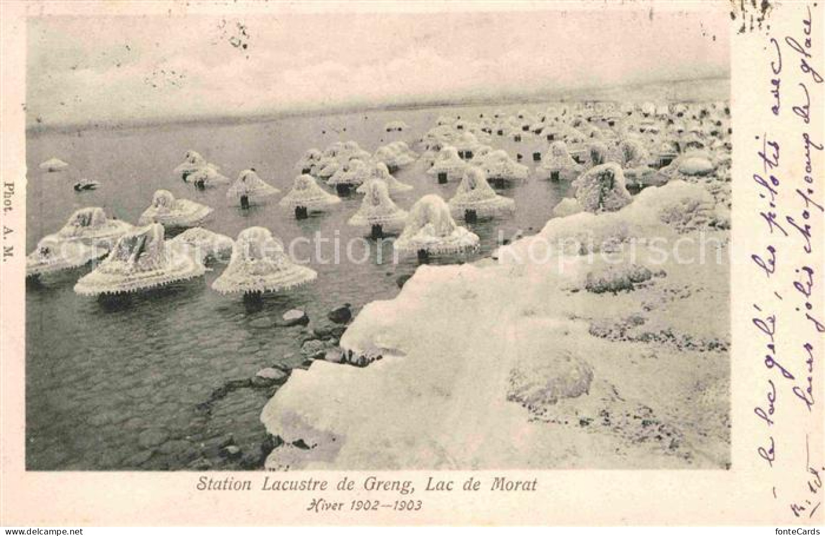 12661537 Greng Lac De Morat Hiver 1902-1903 Greng - Autres & Non Classés