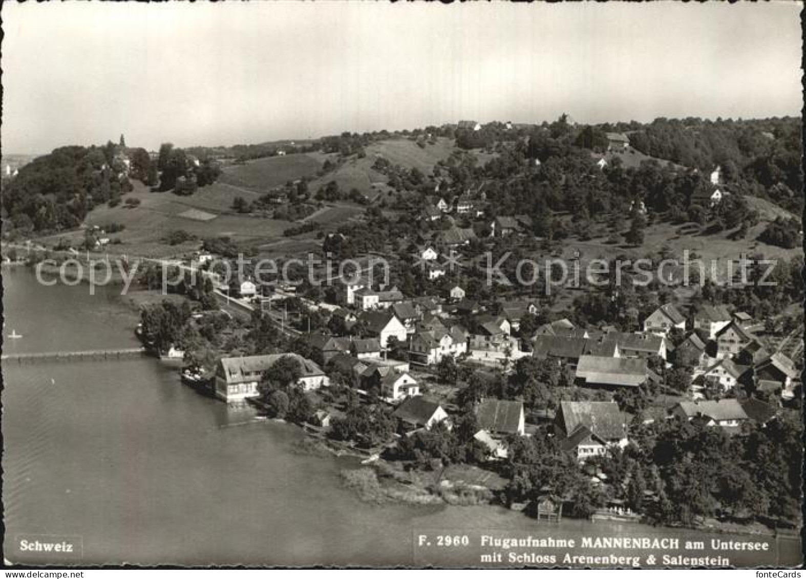 12635197 Mannenbach Untersee Flugaufnahme Schloss Arenenberg Salenstein Mannenba - Autres & Non Classés