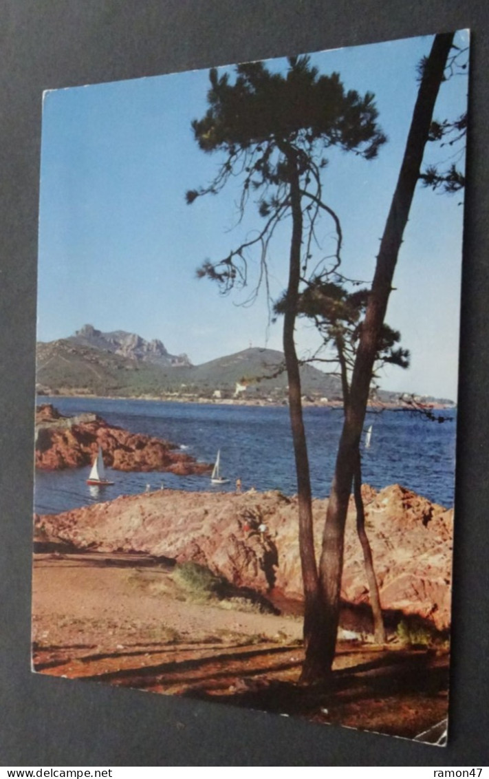 Dans L'Esterel - Les Rochers Vers Le Dramont - Couleurs Naturelles - Saint-Raphaël