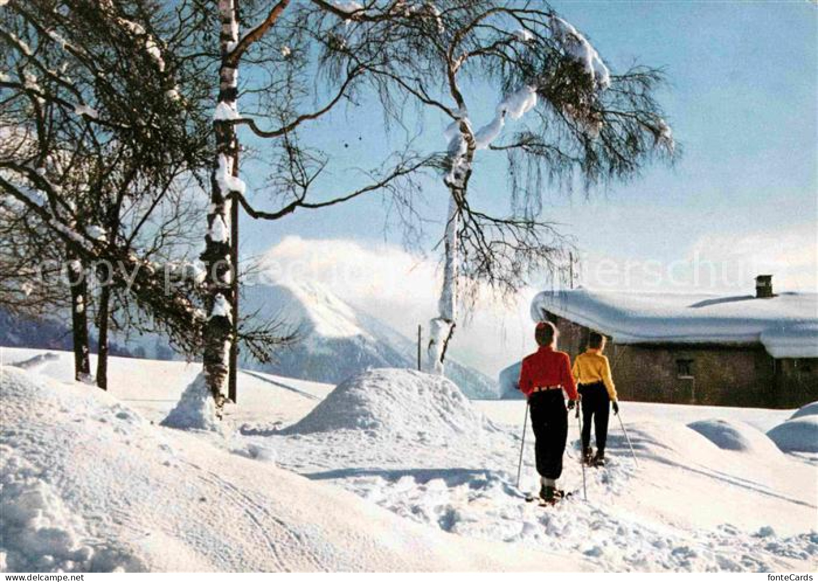 12622717 Davos GR Frauenkirch Skilanglauf Davos - Sonstige & Ohne Zuordnung