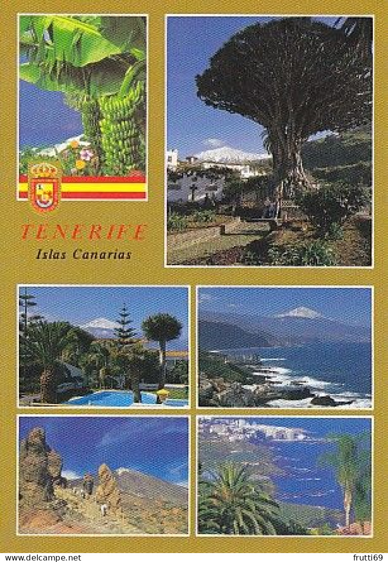 AK 211630 SPAIN - Tenerife - Tenerife