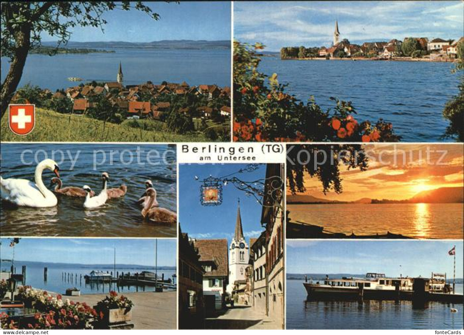 12588397 Berlingen Untersee Panorama Bodensee Schwaene Hafen Kirche Faehre Sonne - Autres & Non Classés