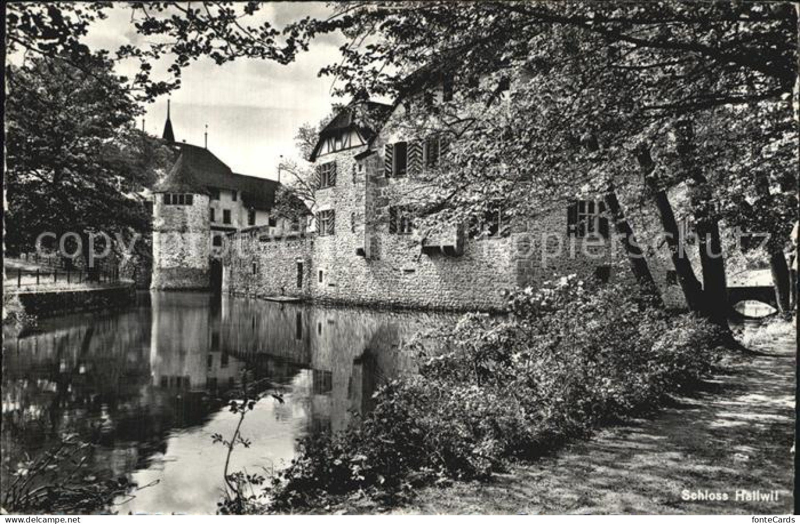 12586437 Hallwil Schloss Hallwil - Sonstige & Ohne Zuordnung