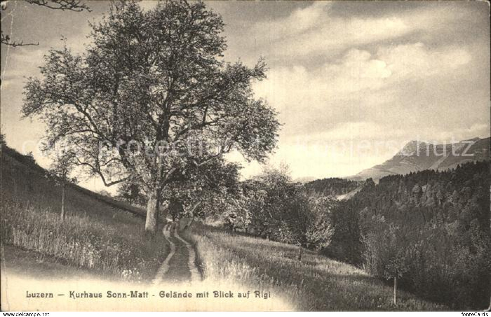 12575817 Luzern LU Kurhaus Sonnmatt Mit Rigiblick Luzern - Sonstige & Ohne Zuordnung