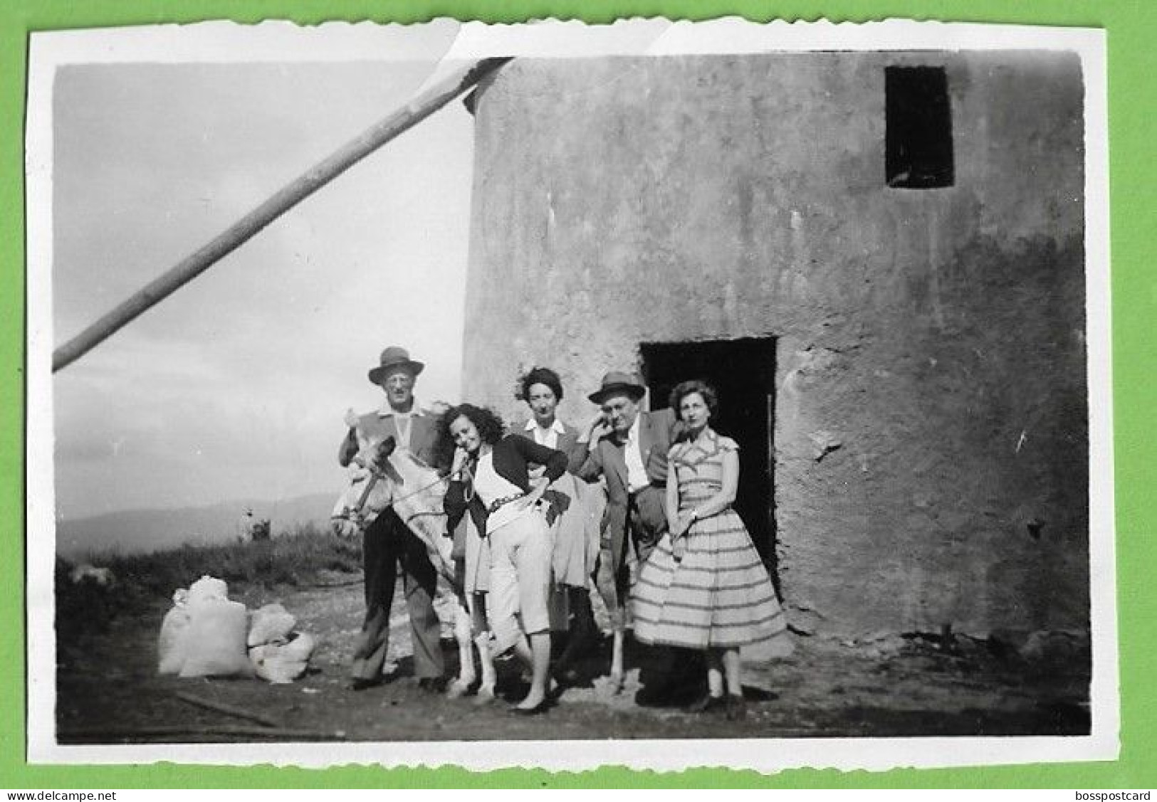 Luso - Buçaco - REAL PHOTO - Moinho De Vento, 1957 - Molen - Windmill - Moulin - Portugal - Moulins à Vent