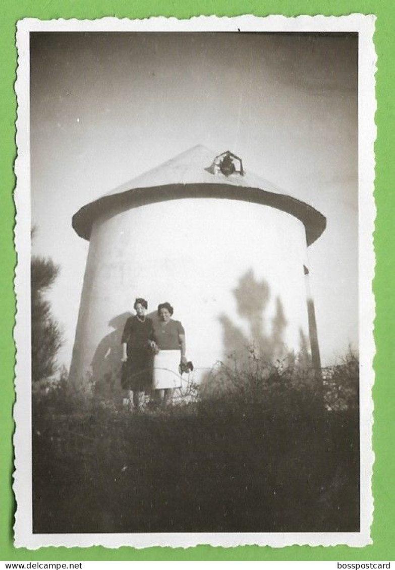 Luso - Buçaco - REAL PHOTO - Moinho De Vento, 1957 - Molen - Windmill - Moulin - Portugal - Windmühlen