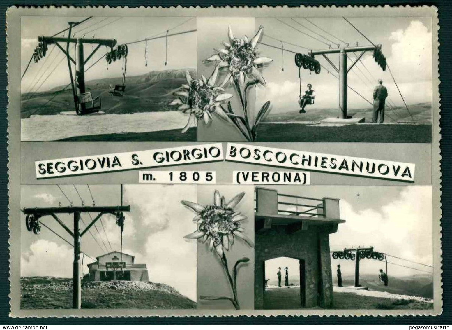 BF178 SEGGIOVIA S GIORGIO BOSCOCHIESANUOVA - VERONA - 4 VEDUTE 1956 - Autres & Non Classés