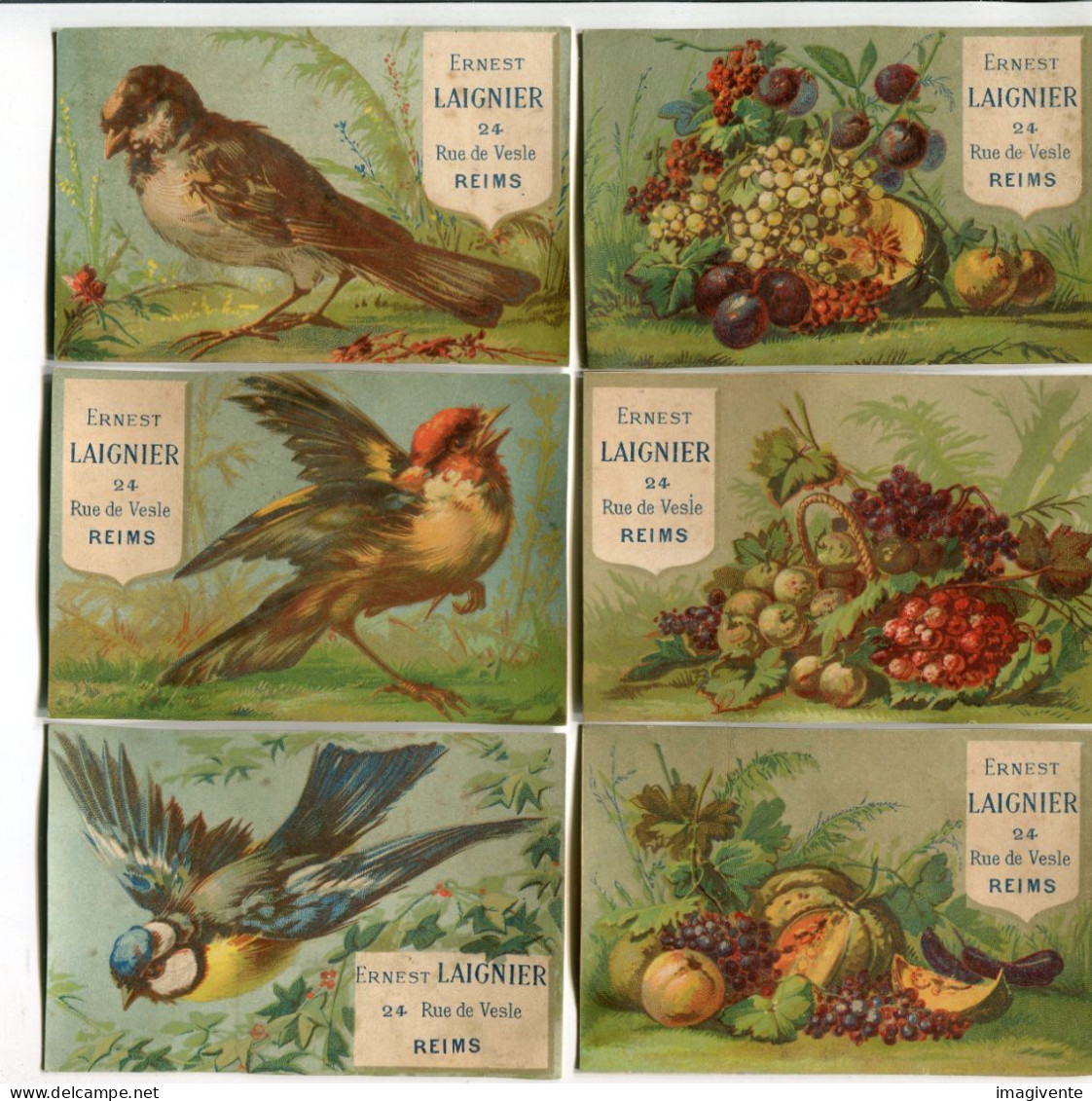 Lot 6 Chromos   Chromo Idem LIEBIG 47 64 Oiseaux Fruits  Ernest LAIGNIER - Autres & Non Classés