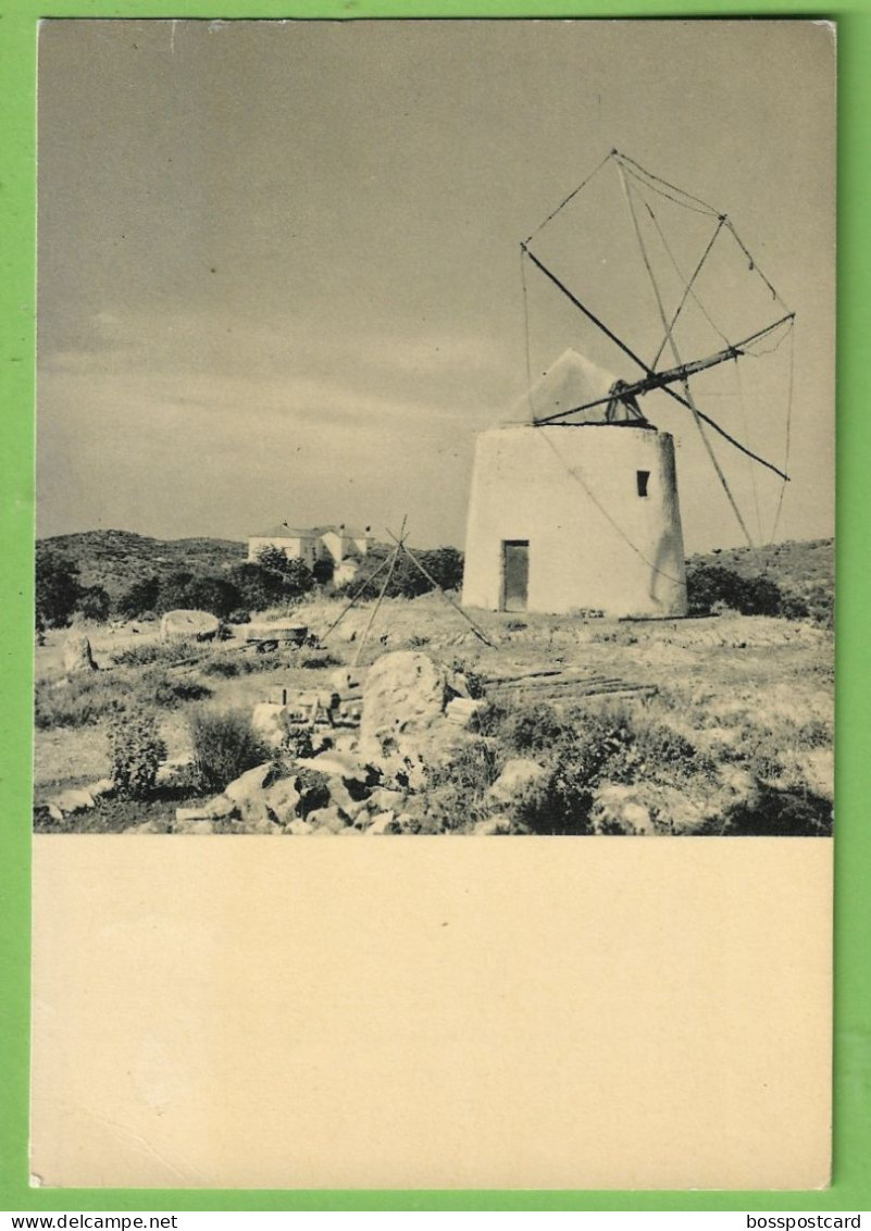 S. Brás De Alportel - Moinho De Vento - Molen - Windmill - Moulin. Faro. Portugal - Faro