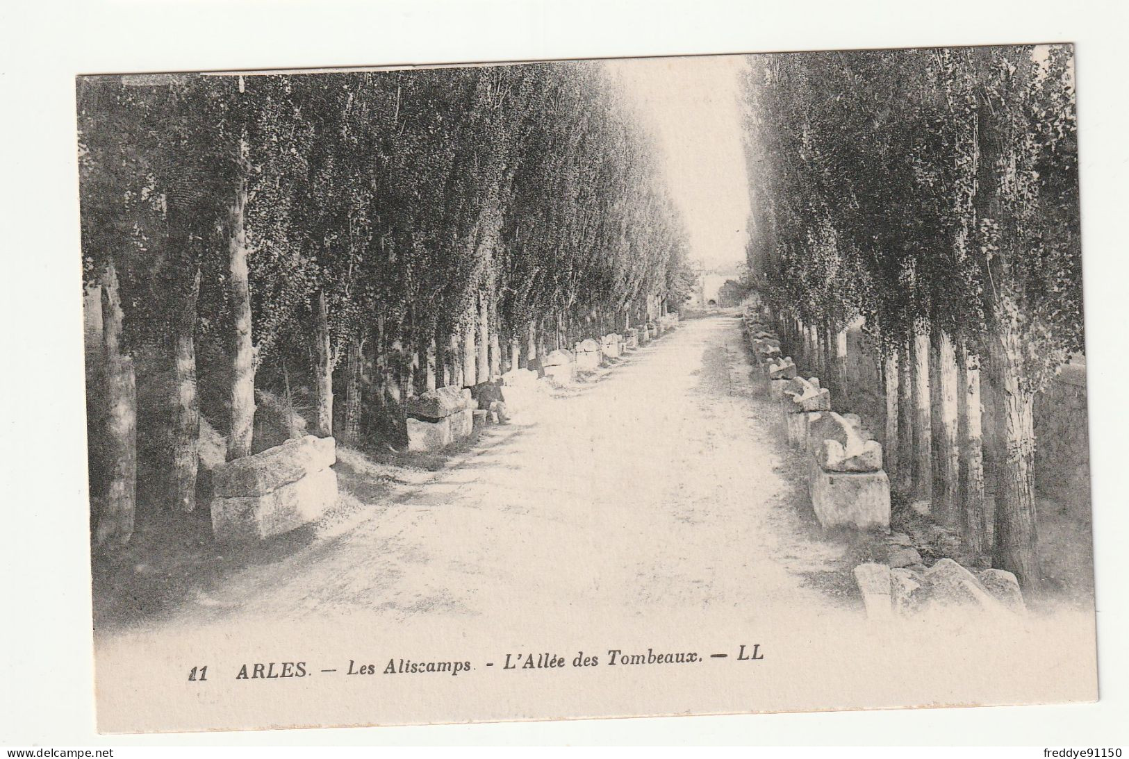 13 . Arles . Les Alyscamps . Allée Des Tombeaux - Arles