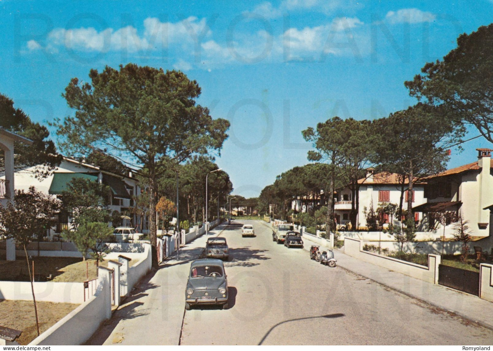 CARTOLINA  C14 LIDO DI SPINA,FERRARA,EMILIA ROMAGNA-VIA COSME TURA (VILLAGGIO IL CAMPIELLO)-BELLA ITALIA,VIAGGIATA 1971 - Ferrara