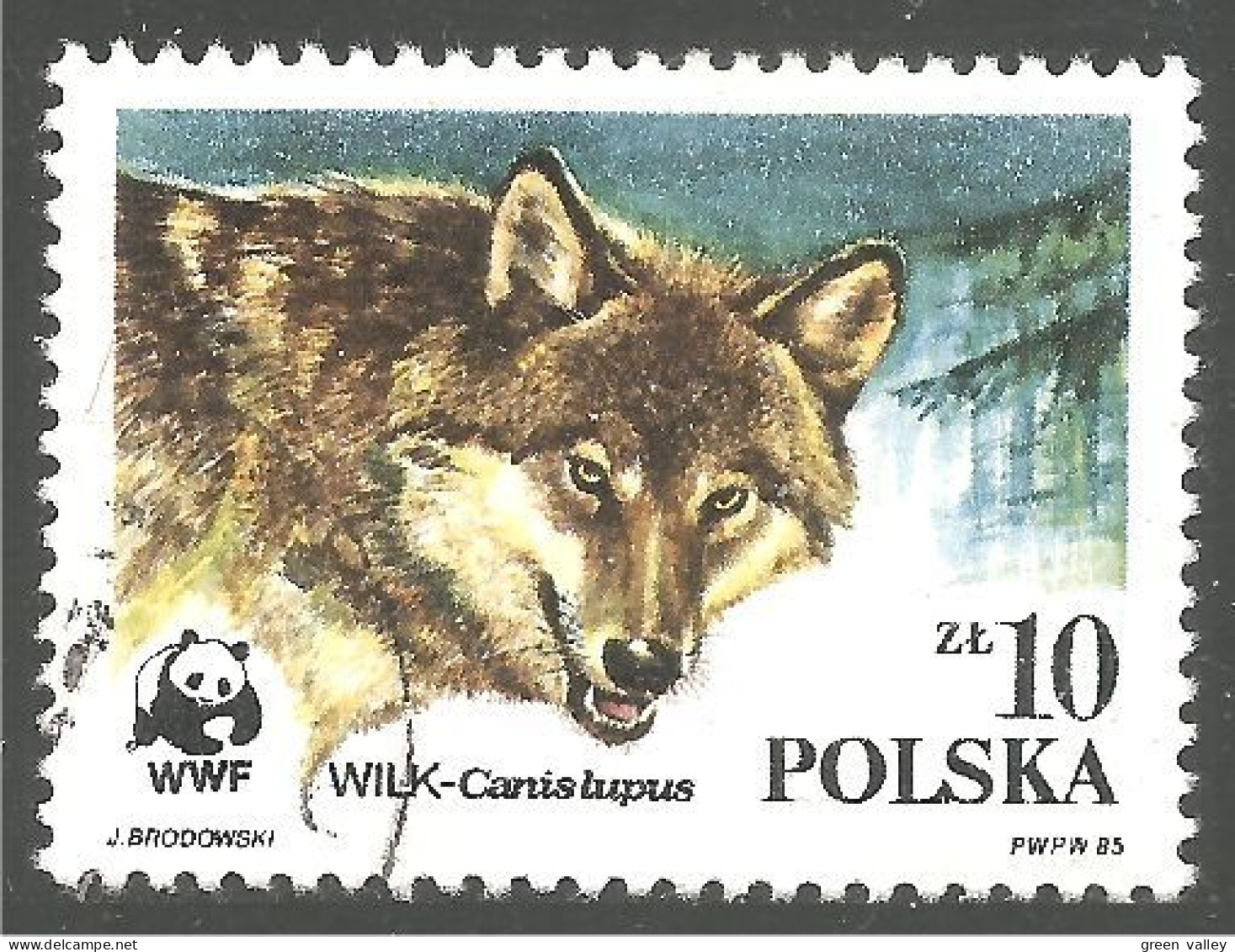 WWF-3b Polska Wolf Loup Lobo Lupo - Unused Stamps