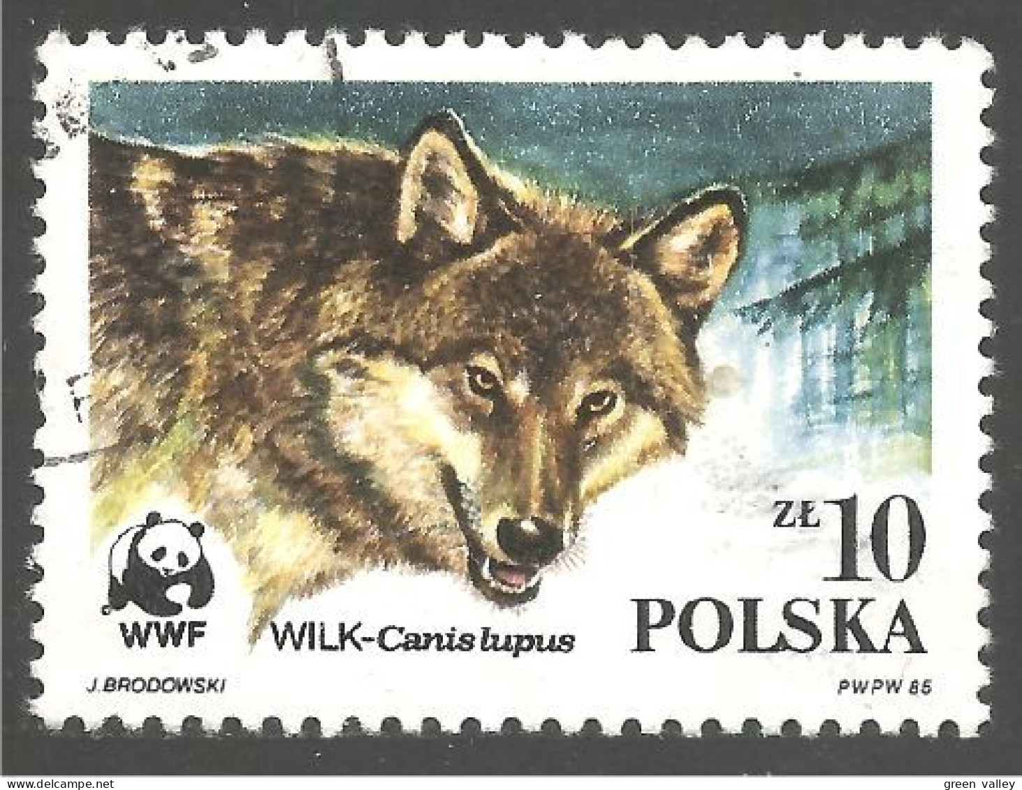 WWF-3a Polska Wolf Loup Lobo Lupo - Nuevos