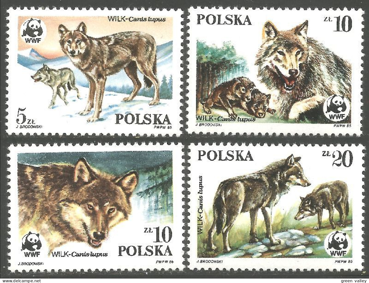 WWF-5 Polska Wolf Loup Lobo Lupo MNH ** Neuf SC - Unused Stamps