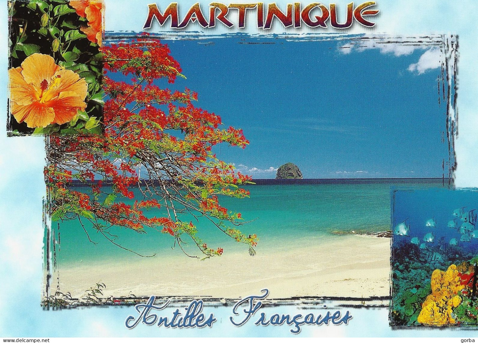 *CPM - 972 - MARTINIQUE - Antilles Françaises - Altri & Non Classificati