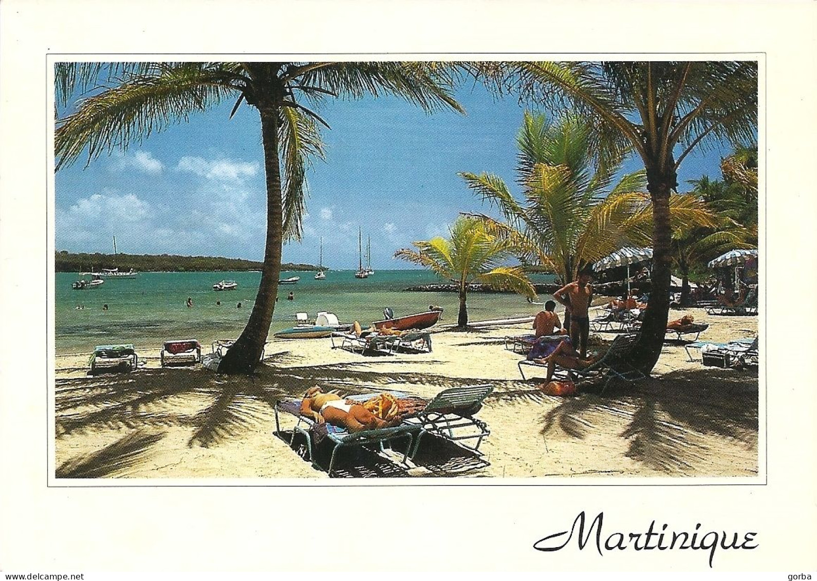 *CPM - 972 - MARTINIQUE - La Pointe Du Marigot - Other & Unclassified