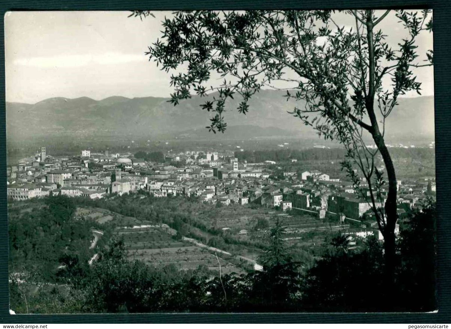 BF188 RIETI - PANORAMA - 1954 - Rieti