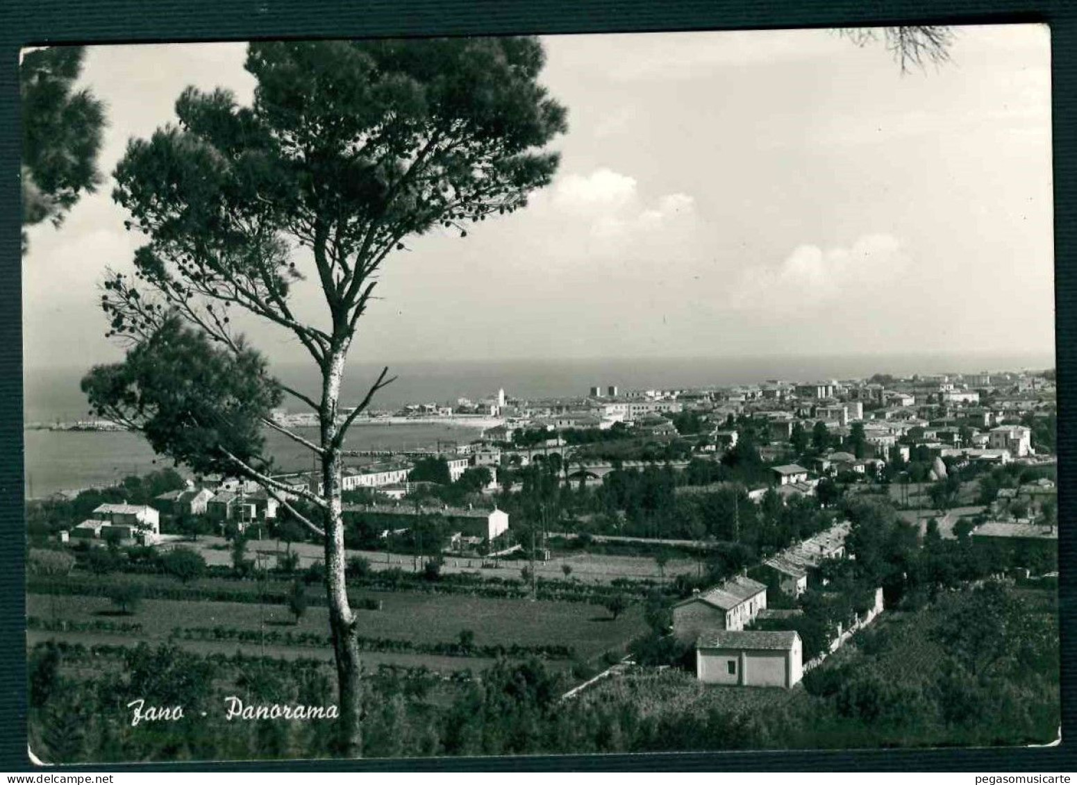 BF189 FANO - PANORAMA - 1955 - Fano