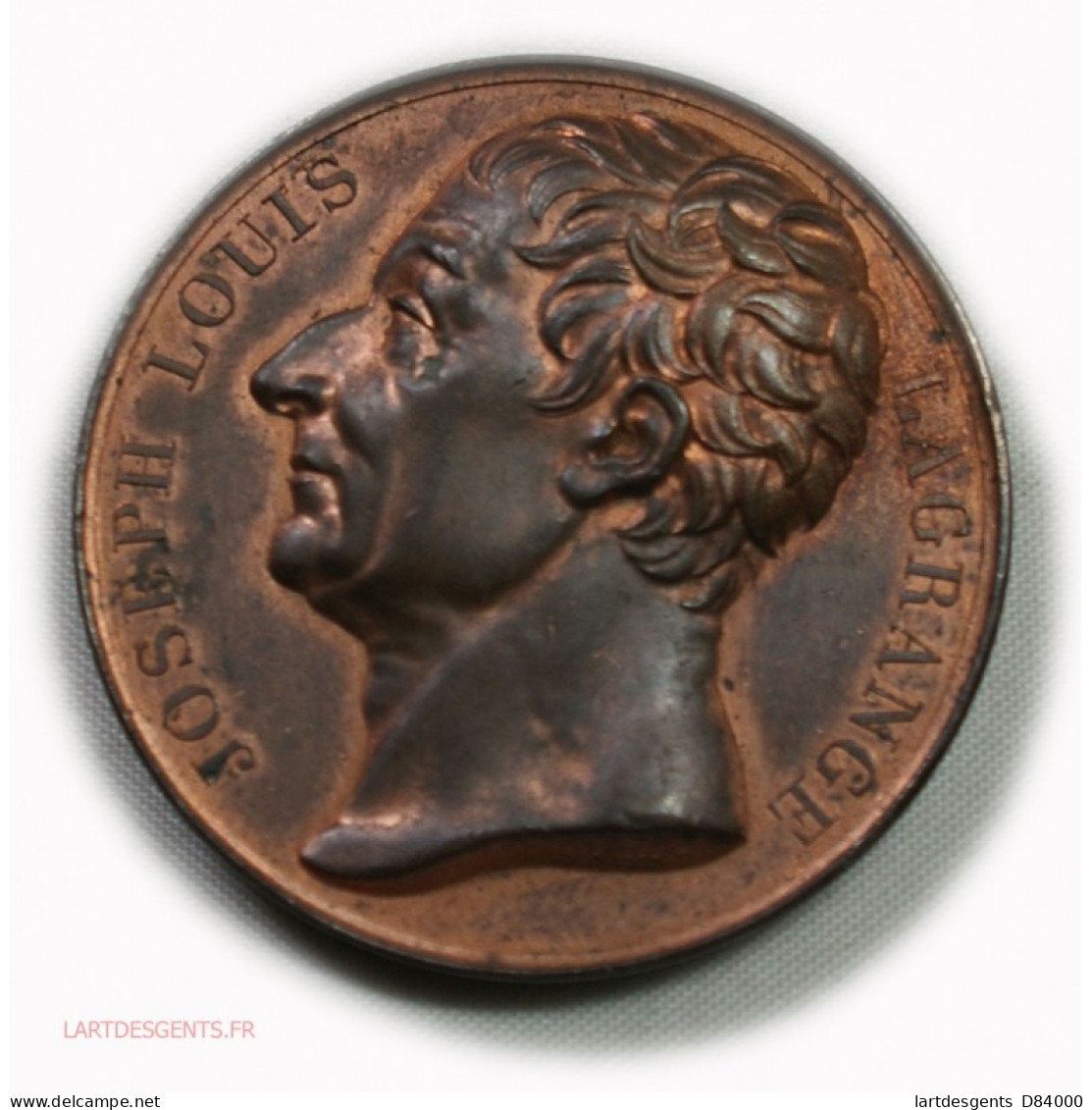 Medaille Cuivre Joseph Louis LAGRANGE Par DONADIO.F - Royaux / De Noblesse