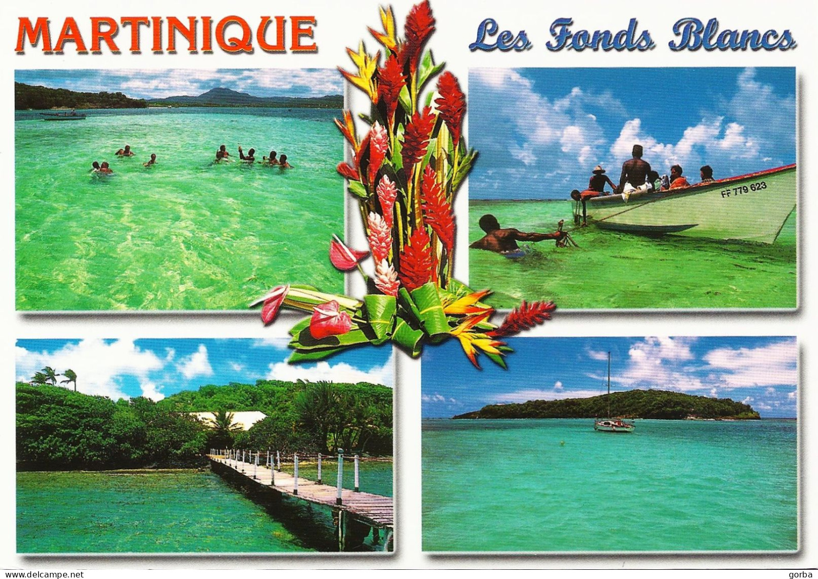 *CPM - 972 - MARTINIQUE - Les Fonds Blancs - Andere & Zonder Classificatie