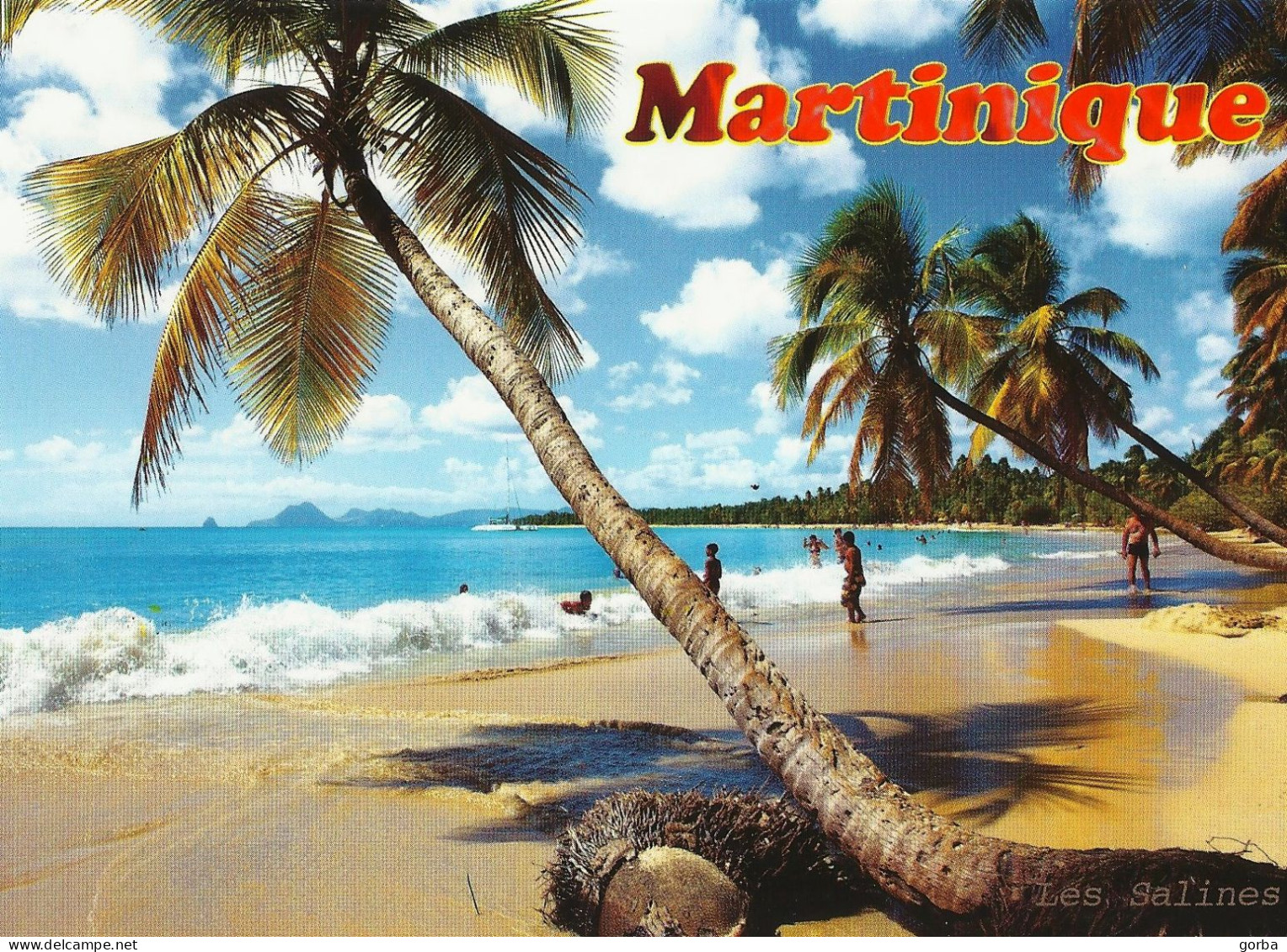 *CPM - 972 - MARTINIQUE - Cocotiers - Altri & Non Classificati