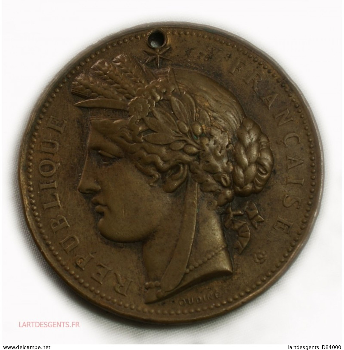 Médaille Exposition Universelle Paris 1878 Par Oudiné, A. Dubois - Royaux / De Noblesse