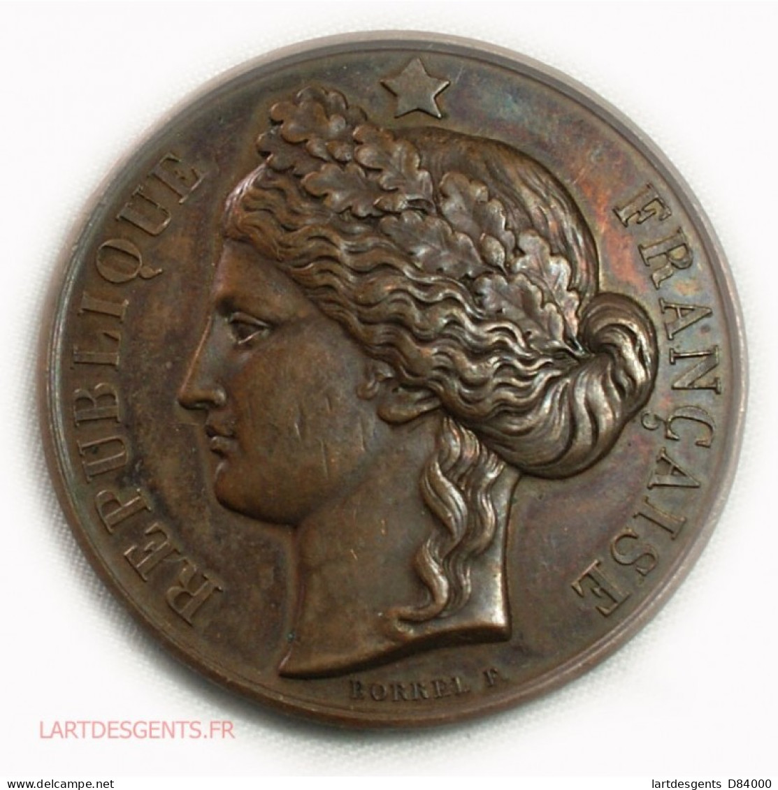 Médaille CERES Enseignement Du Dessin 1872 Par BORREL F. - Royaux / De Noblesse