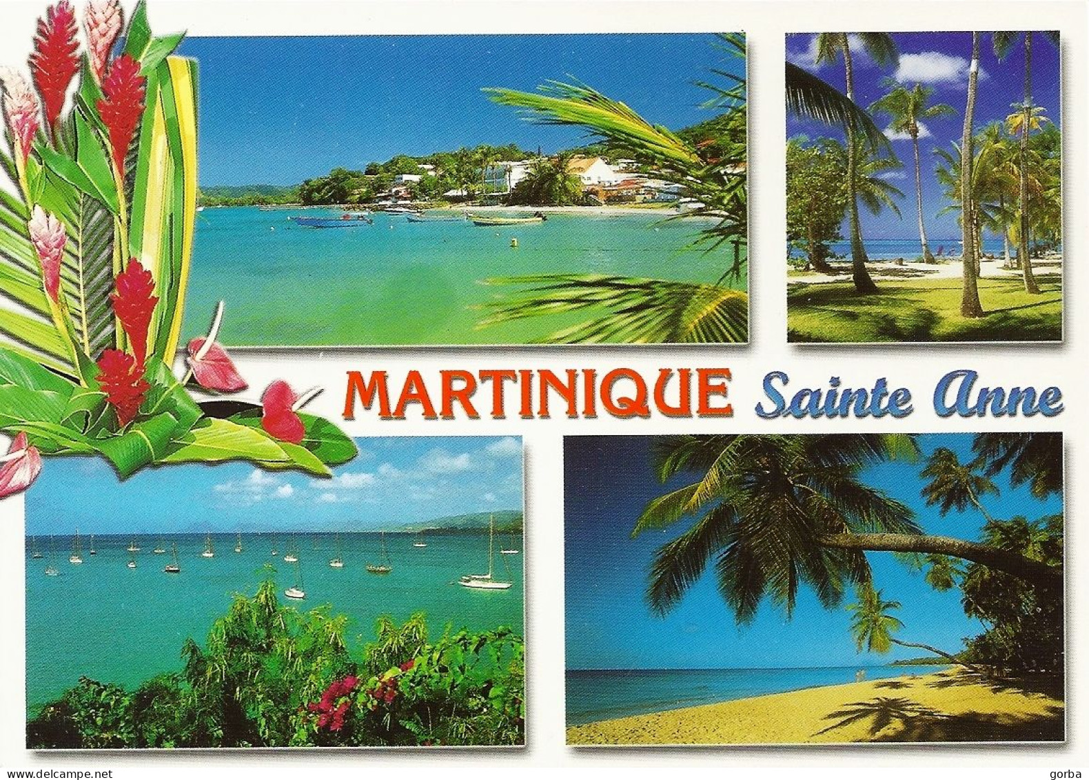 *CPM - 972 - MARTINIQUE - SAINTE ANNE - Multivue - Le Marin