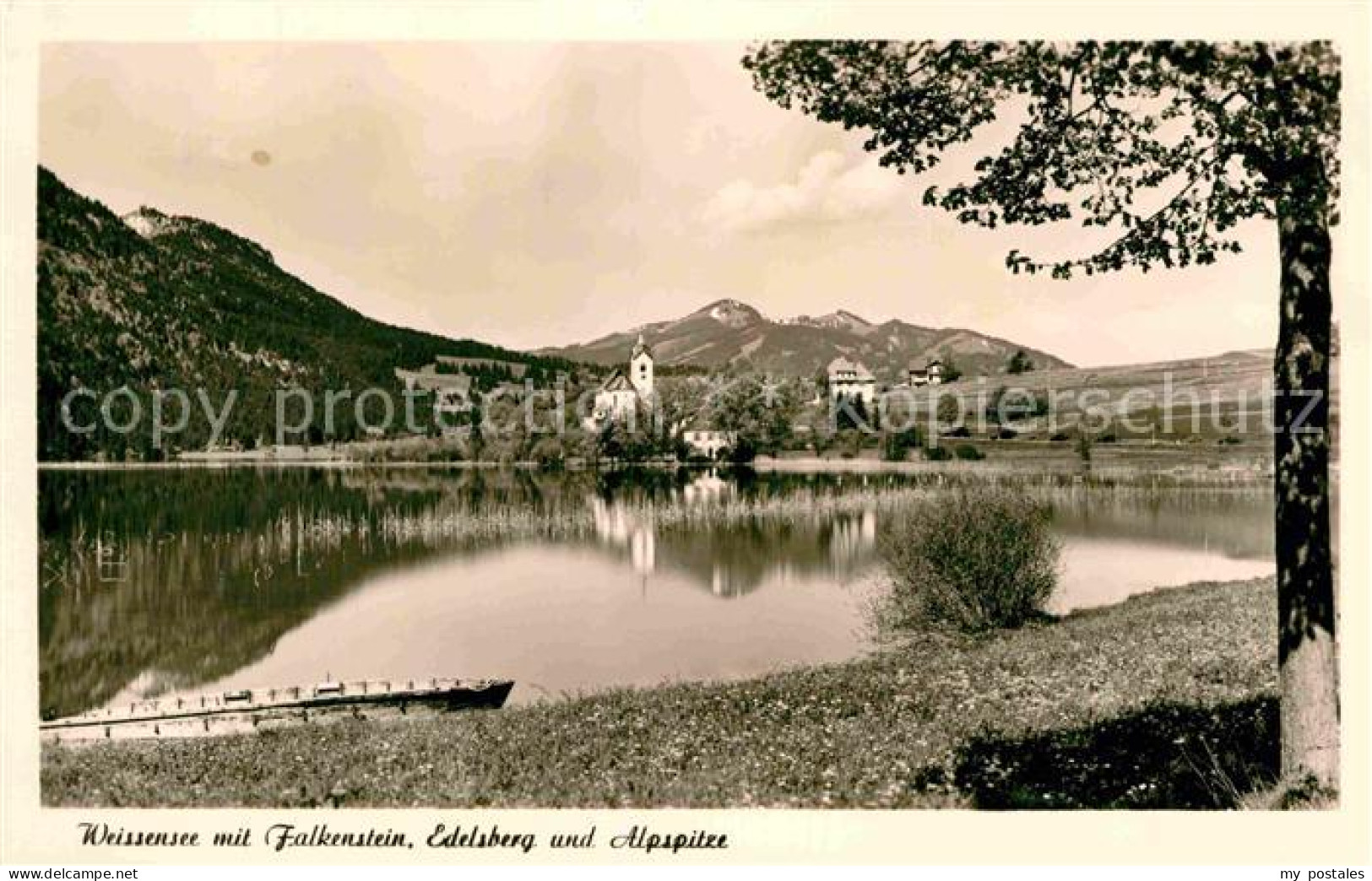 72775193 Weissensee Fuessen Falkenstein Edelsberg Alpspitze Weissensee Fuessen - Fuessen