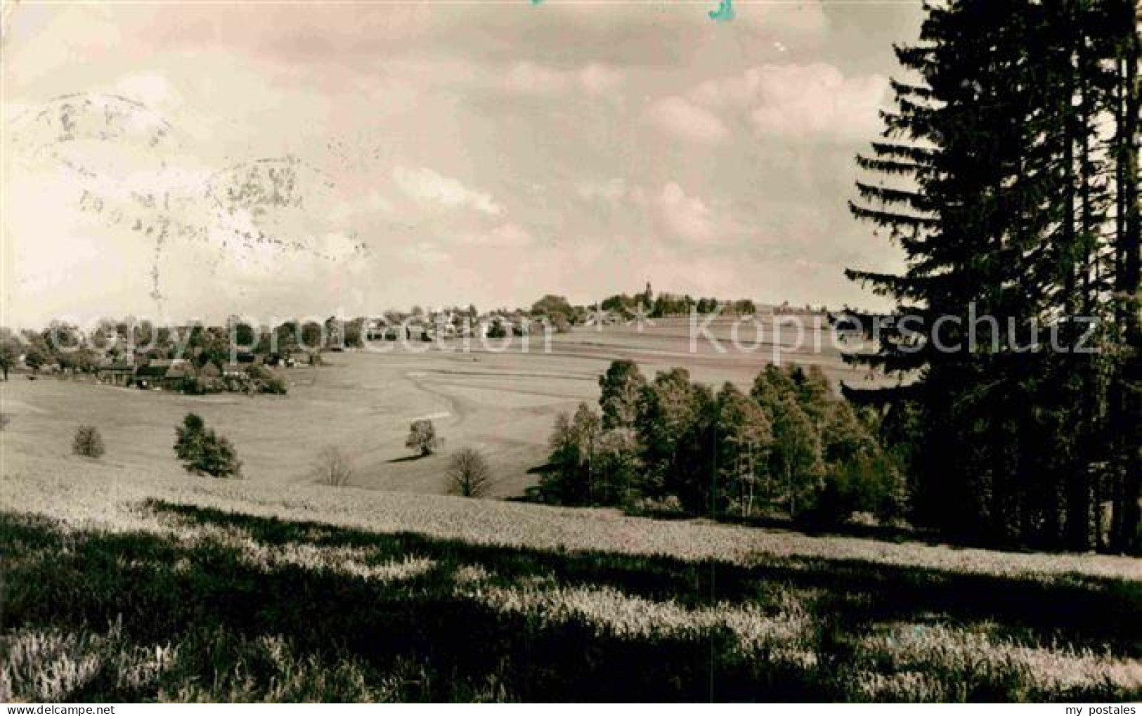 72775171 Landwuest Panorama Landwuest - Markneukirchen