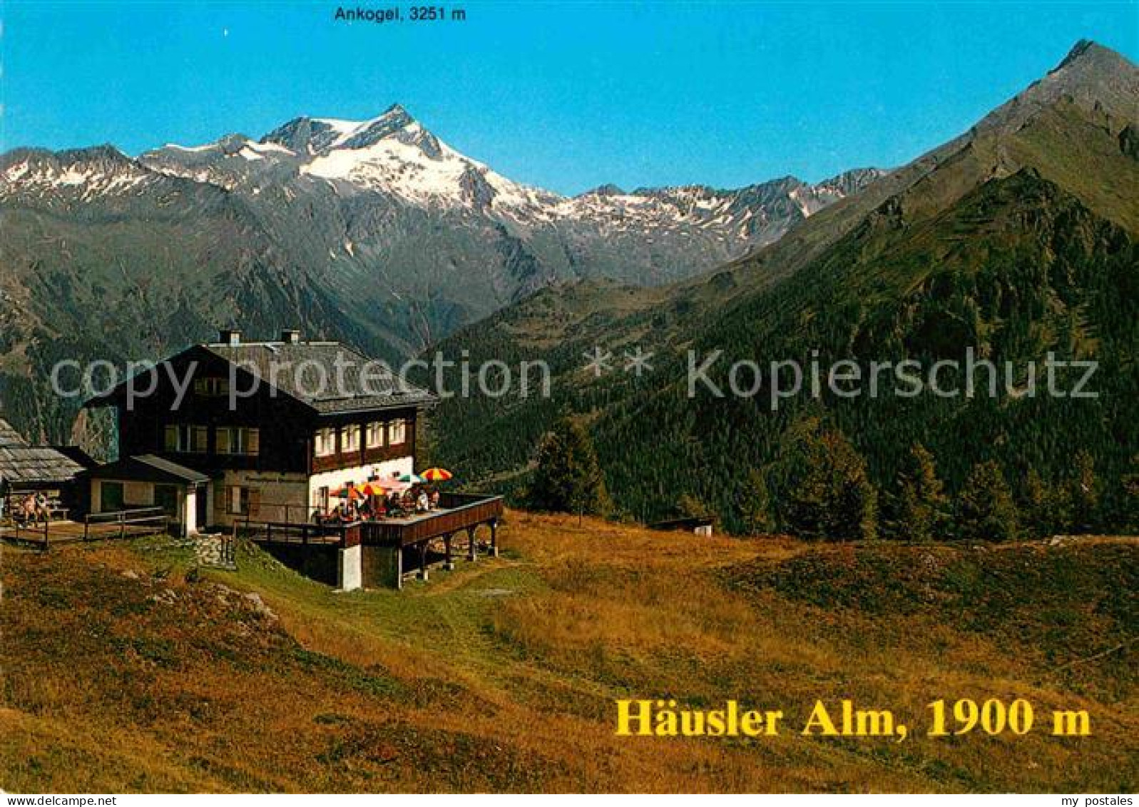 72774630 Mallnitz Kaernten Haeusler Alm Gegen Ankogel Hohe Tauern Mallnitz - Altri & Non Classificati