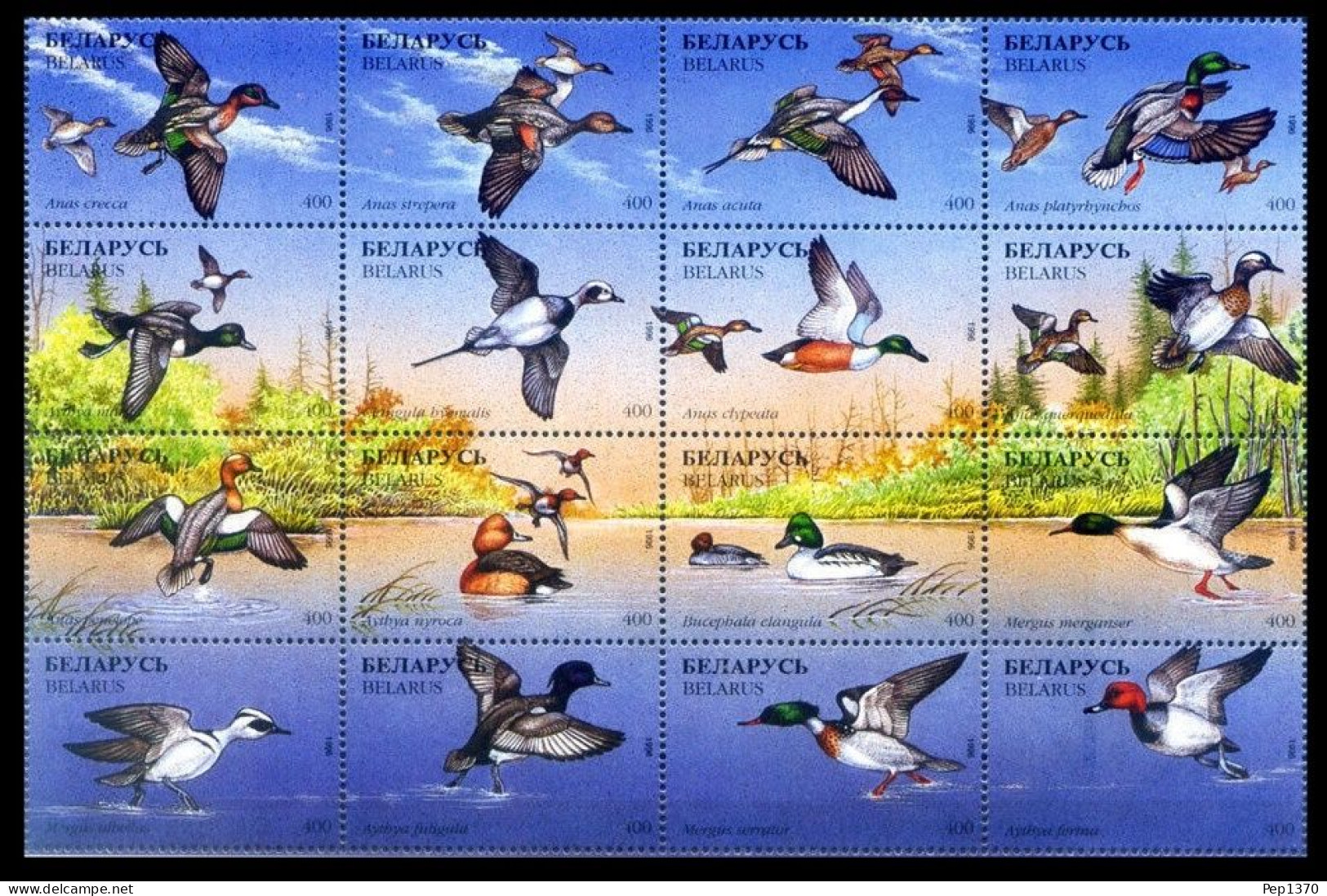 BIELORUSIA 1996 - BELARUS - FAUNA - PAJAROS - PATOS - YVERT 135/150** - Ducks