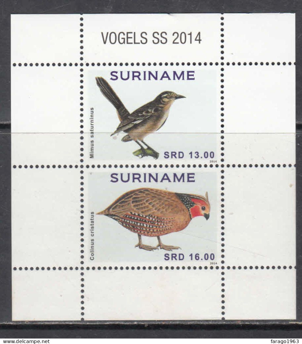 2014 Suriname Surinam Birds Oiseaux Miniature Sheet Of 2  MNH - Suriname