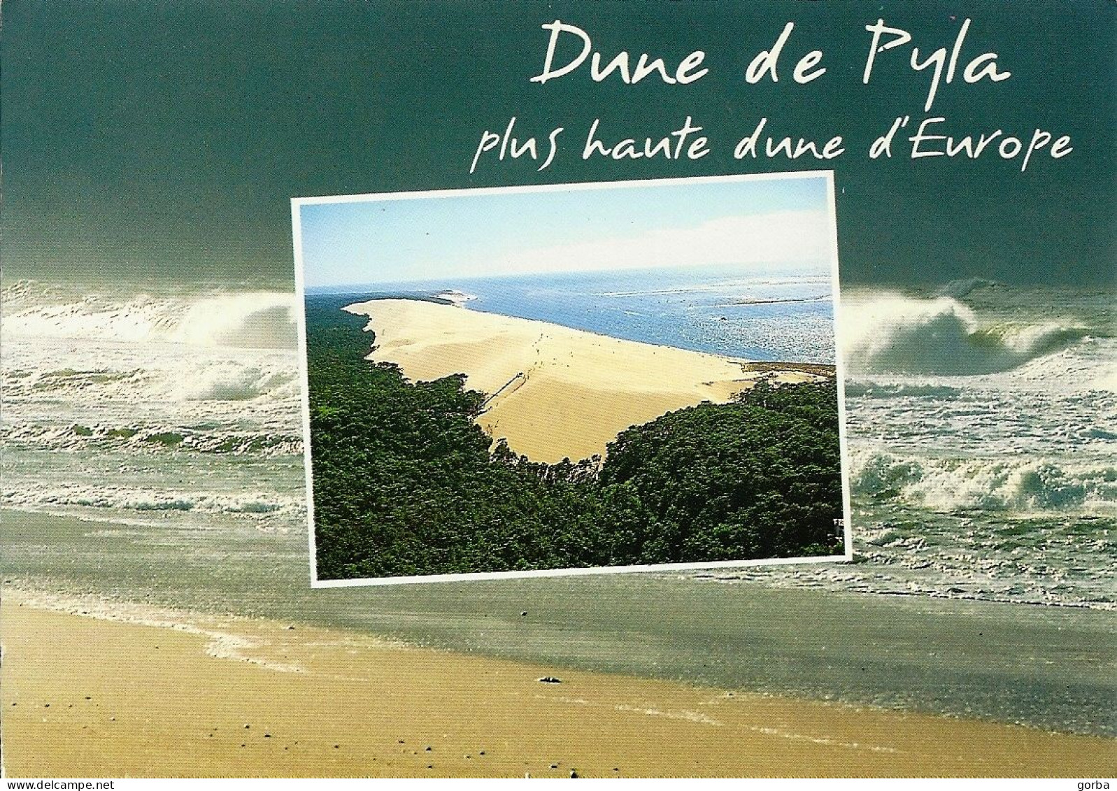 *CPM - 33 - PYLA SUR MER - La Dune La Plus Haute D'Europe - Other & Unclassified