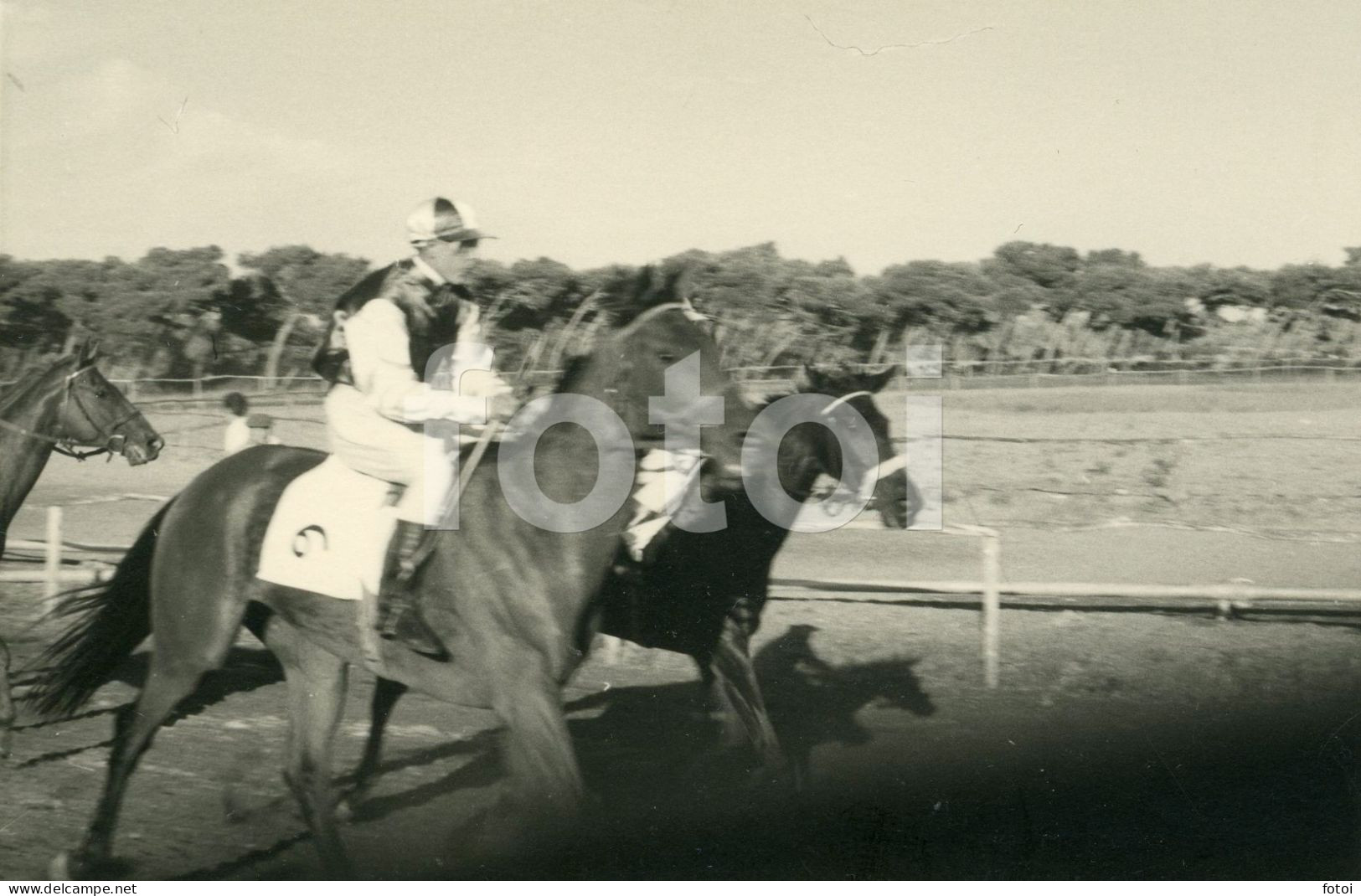 3 PHOTOS SET1955 REAL AMATEUR PHOTO FOTO CORRIDA CAVALOS COURSE CHEVAUX CHEVAL HORSE RACE HORSES CASCAIS PORTUGAL AT105 - Sporten