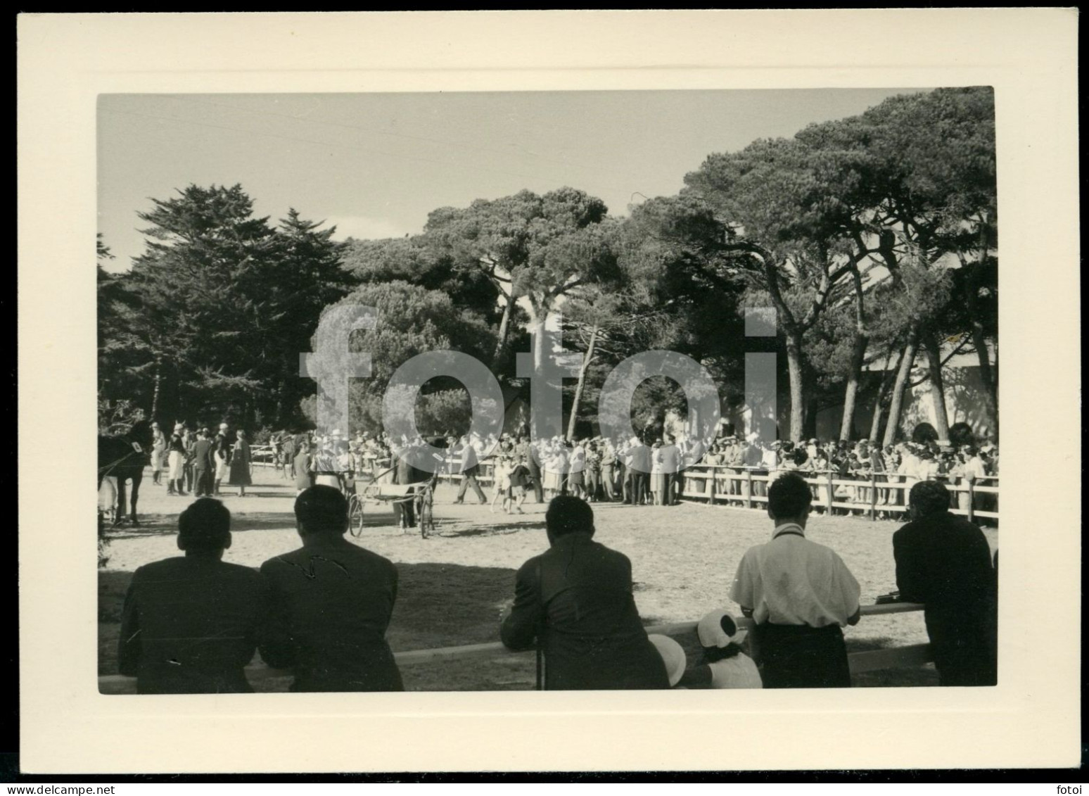 3 PHOTOS SET1955 REAL AMATEUR PHOTO FOTO CORRIDA CAVALOS COURSE CHEVAUX CHEVAL HORSE RACE HORSES CASCAIS PORTUGAL AT105 - Deportes