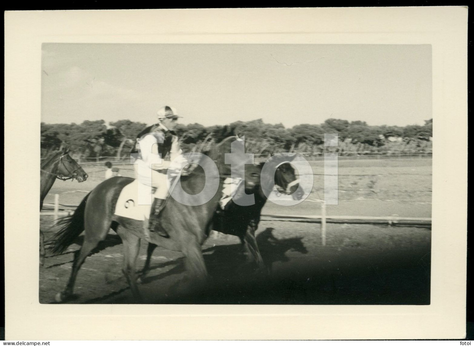 3 PHOTOS SET1955 REAL AMATEUR PHOTO FOTO CORRIDA CAVALOS COURSE CHEVAUX CHEVAL HORSE RACE HORSES CASCAIS PORTUGAL AT105 - Deportes