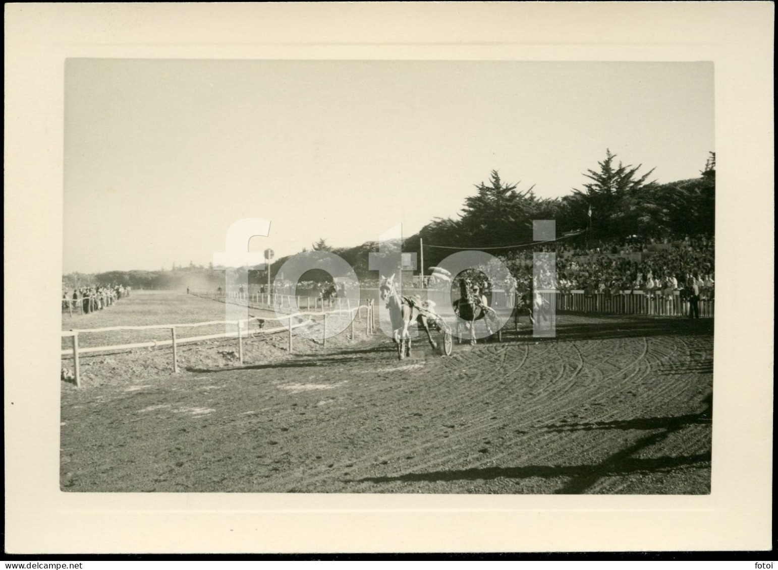 3 PHOTOS SET1955 REAL AMATEUR PHOTO FOTO CORRIDA CAVALOS COURSE CHEVAUX CHEVAL HORSE RACE HORSES CASCAIS PORTUGAL AT105
