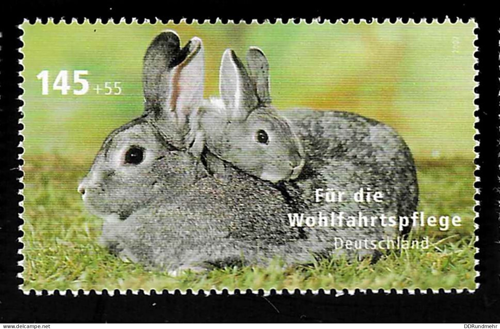 2007 Rabbit Michel DE 2633 Stamp Number DE B995 Yvert Et Tellier DE 2458 Stanley Gibbons DE 3509 Xx MNH - Nuovi